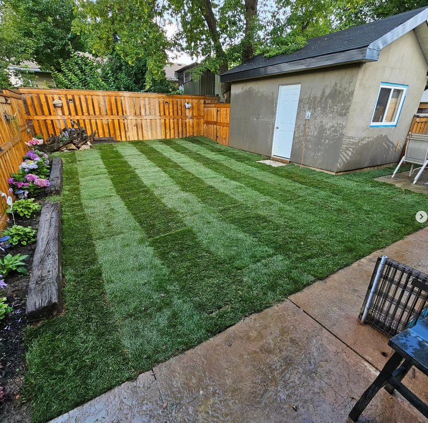 Beecroft and Sons pergola landscaping Hamilton