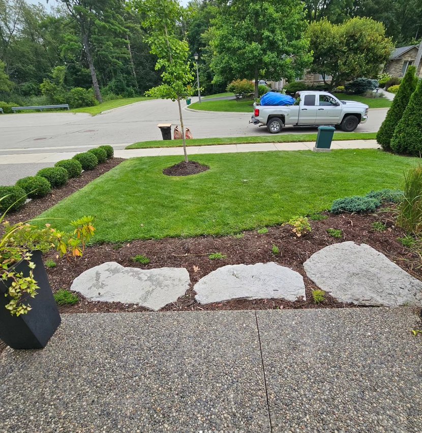 Beecroft and Sons retaining wall and shrubs Hamilton