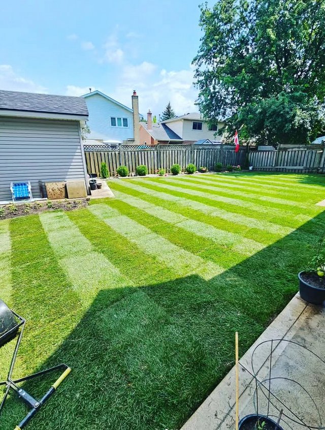 Beecroft and Sons garden and curb appeal Hamilton