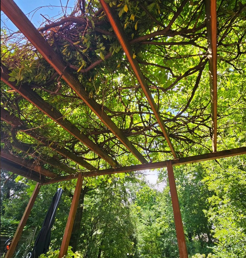 Beecroft and Sons stamped concrete patio Hamilton